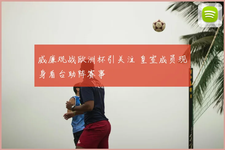 威廉观战欧洲杯引关注 皇室成员现身看台助阵赛事