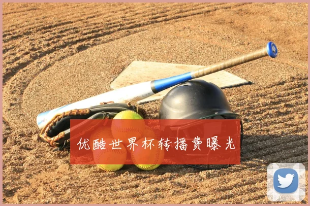 优酷世界杯转播费曝光