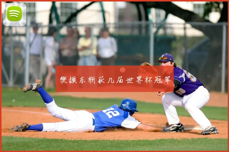 樊振东斩获几届世界杯冠军
