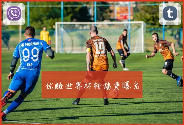 优酷世界杯转播费曝光