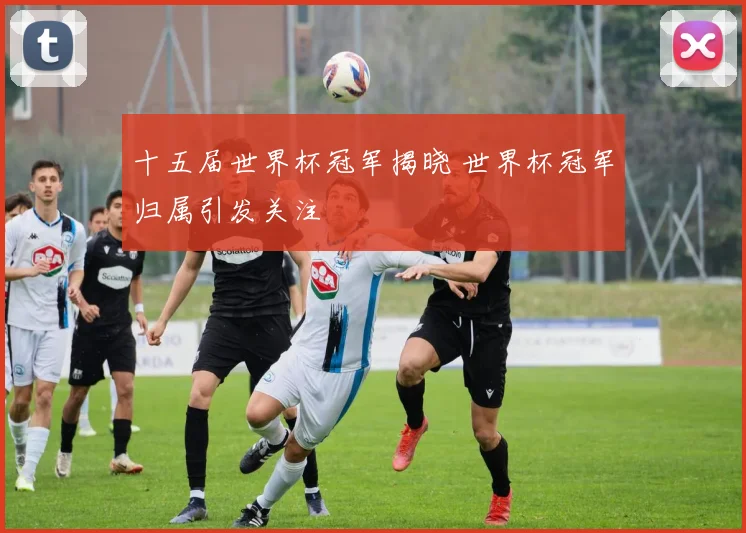 十五届世界杯冠军揭晓 世界杯冠军归属引发关注