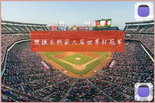 樊振东斩获几届世界杯冠军